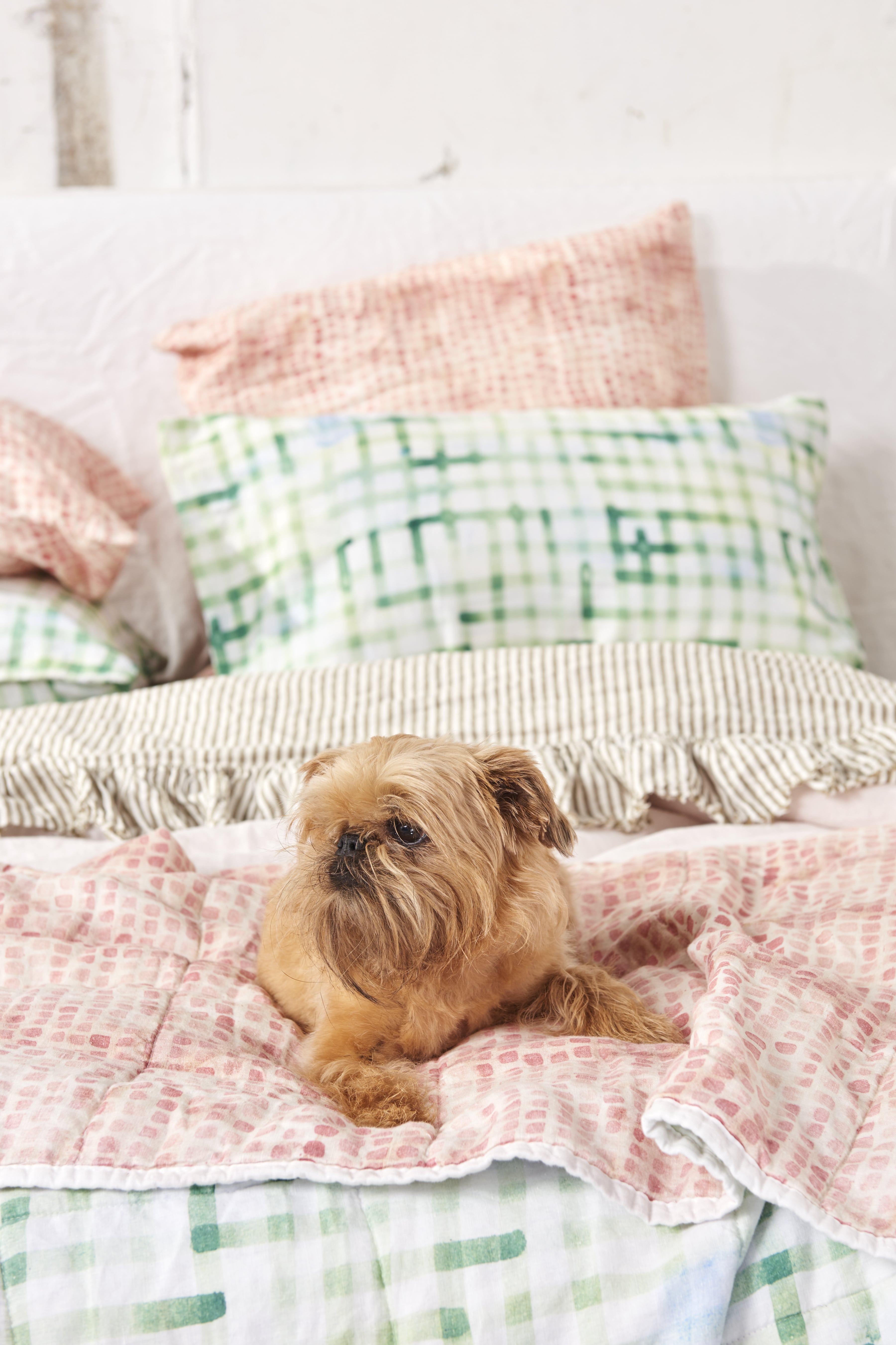 Sunday Standard Pillowcase Set